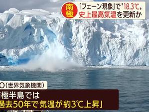 南极最新爆料新闻视频网,神秘生物现踪，极地探险新发现！  第1张
